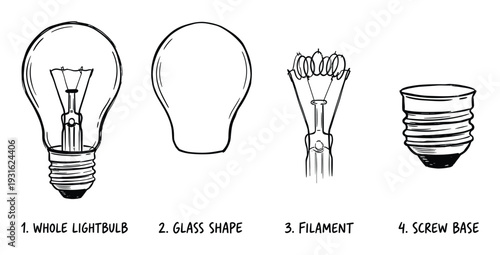 Deconstructed lightbulb showing glass shape filament and screw base components in hand drawn style