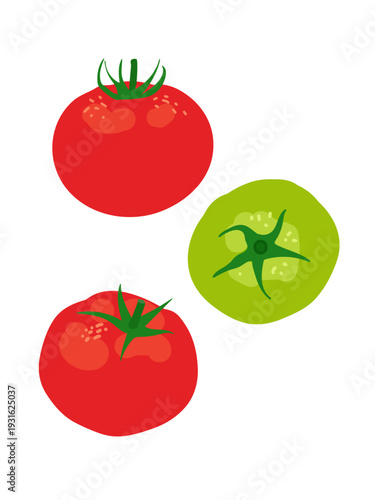 Illustration of red tomatoes and a green cross-section