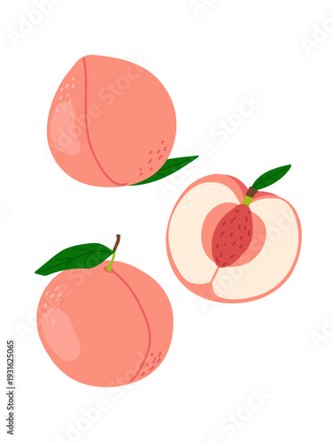Illustration of peaches and a slice with a pit