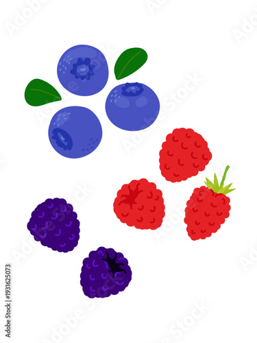 Illustration of assorted blueberries and raspberries