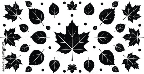 Leaf silhouette set, maple and birch icons, decorative botanical design, nature motif illustration, symmetrical foliage theme - flat vector design