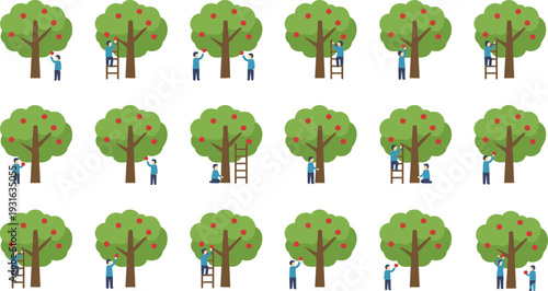 Vector illustration showing people harvesting apples from trees using ladders, standing, and kneeling in various orchard farming seasonal activities.