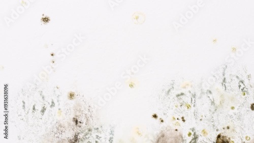 Mould And Fungus Growth On White Wall
