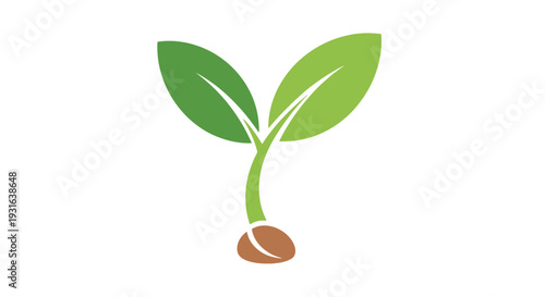 A vibrant green sprout emerging from a brown seed symbolizing new life