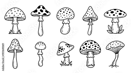 Hand Drawn Mushroom Set Outline Doodle Forest Fungi Collection