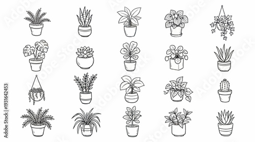 Hand Drawn Houseplants Doodles Collection Vector Set