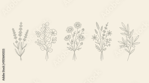 Botanical Line Art Set of Lavender, Eucalyptus, Daisy and Olive Branches