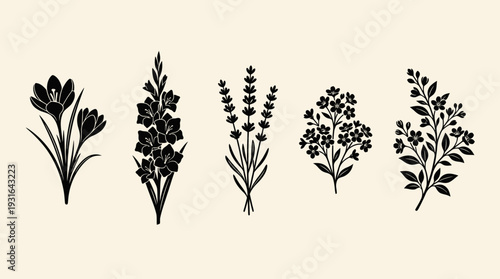 Elegant Black Botanical Silhouettes on Light Beige Background