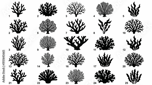 Diverse Coral and Seaweed Silhouettes Collection Vector Set