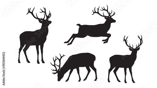 Teacup with floral pattern and delicate gold trim sits on a saucer, elegantly presented for a refined tea experience.