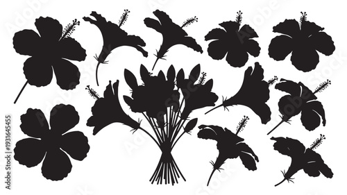 Dog golden retriever running on a grassy field with a ball in its mouth and its tongue out on a sunny day.