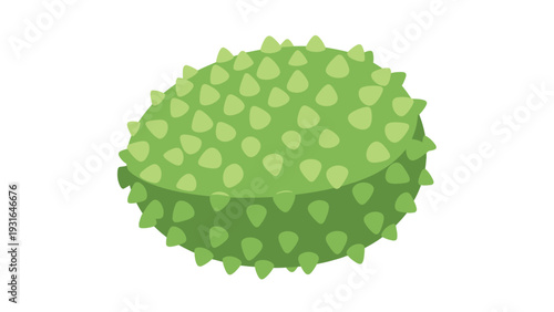 Illustration of a green spiky sphere with lighter green spots on a white background in a flat 2D style.