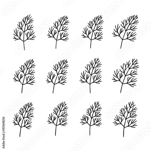 Dill Sprigs Pattern Minimalist Line Art Simple Botanical Elements Food Ingredient