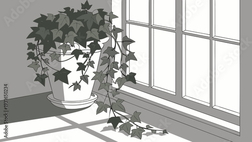 Potted ivy plant on a sunlit windowsill casting shadows in a minimalist line art style.
