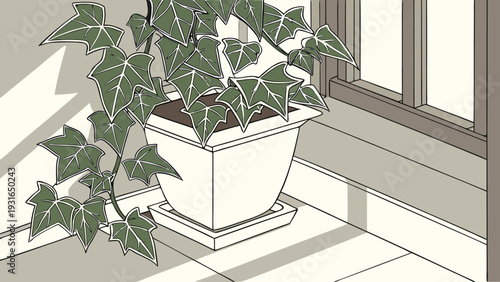 Potted Ivy Plant on a Sunny Windowsill.