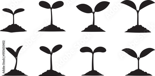 Set of young plants growing in soil silhouettes on white