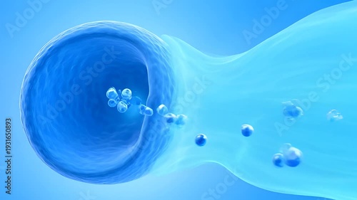 Medical Blood Flow Animation, Circulatory System Health, Vein Artery Visualization
