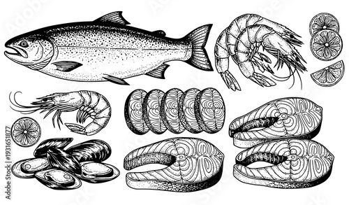 Hand drawn salmon and seafood cuts vintage engraving illustration set