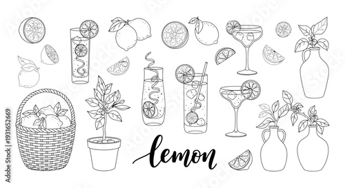 hand drawn line art illustration set featuring fresh lemons refreshing summer drinks and botanical elements ideal for creative design projects.