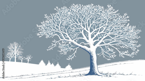 Winter Landscape with SnowCovered Trees and Rolling Hills.