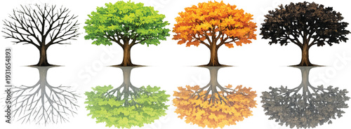 Four Seasons Tree and Its Reflection - A Visual Representation of Nature's Cycle