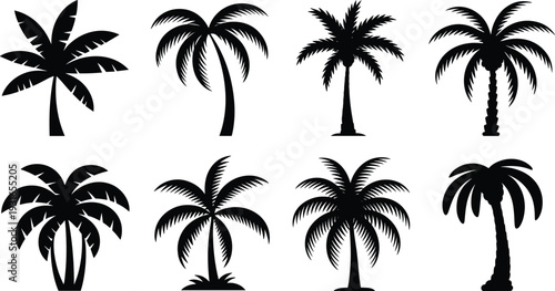 Collection of eight black palm tree silhouettes with varied trunks, fronds, and shapes, perfect for tropical, botanical, decorative, landscape, beach, and nature‑inspired design projects