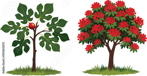 Illustration of contrasting trees with lush green foliage, one bearing a single red fruit and the other covered in vibrant red blossoms on grassy landscape