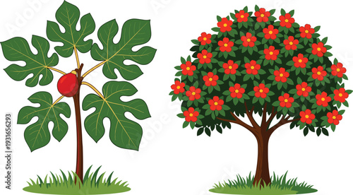 Illustration of two contrasting trees side by side, one bearing a single red fruit and the other covered with vibrant red blossoms on grassy landscape