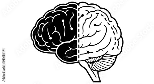 Human brain illustration showing left and right hemispheres with distinct contrasting styles symbolizing cognitive functions and creative thinking processes effectively
