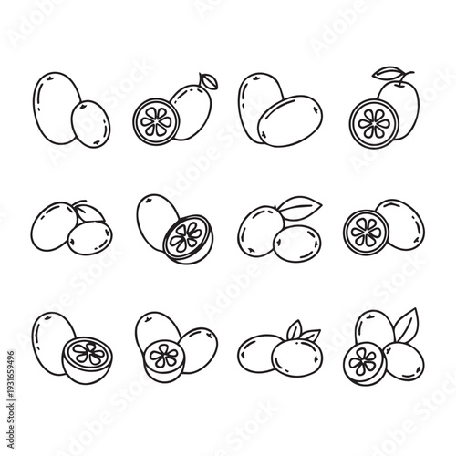 Kumquat Fruit Outline Icons Set Whole and Halved Citrus Fruits Vector Illustrations