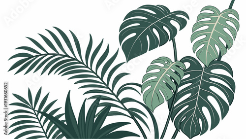 Tropical Greenery Illustration with Monstera and Palm Leaves.