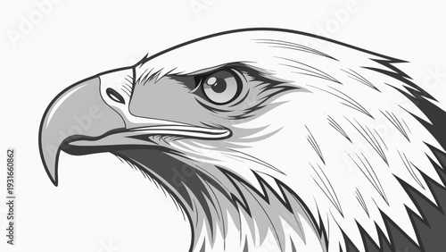 Closeup profile of a majestic bald eagles head.