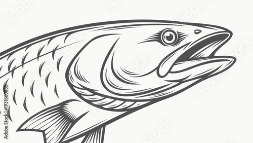 Detailed illustration of a fish head with an open mouth showcasing scales and fins.