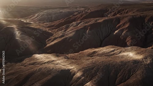 Subtle Organic Motion Emphasize the slow, undulating movement of the caustic patterns and any barely perceptible camera drift.