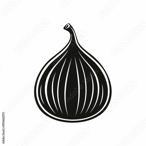 Elegant fig illustration with detailed lines and minimalist design aesthetics for food graphics