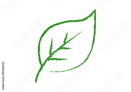 Hoja verde de planta con nervaduras dibujada a mano con trazo de pincel