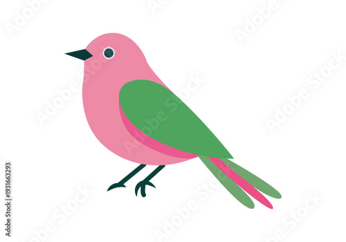 Pájaro pequeño de colores rosa y verde 