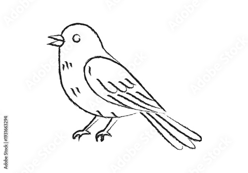Pájaro pequeño cantando con trazo artístico de estilo dibujo a mano