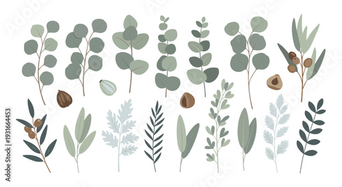 Delicate Collection of Eucalyptus Leaves and Seed Pods in a Serene Green Palette for Natural Decor and Botanical Designs