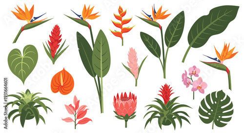 Vibrant Tropical Exotic Flowers and Foliage Collection Botanical Illustration Isolated on White Background