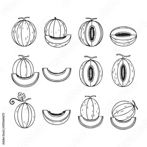 Melon Collection Line Art Icons: Whole Halved Sliced Fruits Fresh Produce Illustrations