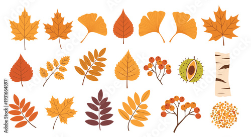 Autumn leaves collection in warm orange and yellow tones with birch bark and chestnut elements
