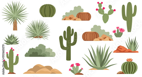 Vibrant desert flora collection featuring diverse cacti succulents and arid plants in a colorful illustration