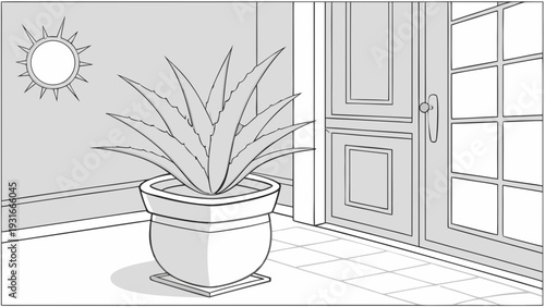 Aloe Vera Plant in a Pot Indoors with Sunlight.