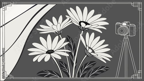 Monochromatic daisies with camera outline.