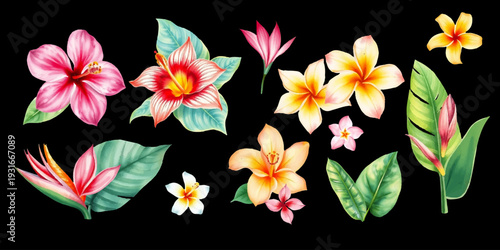 Collection of hand drawn tropical flowers, Watercolor floral set. isolated on black background.