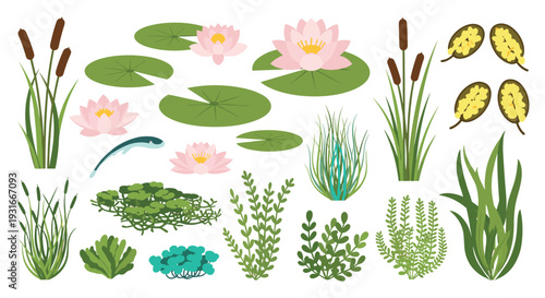 Collection of Aquatic Plants and Water Lilies with Reeds and Cattails on White Background