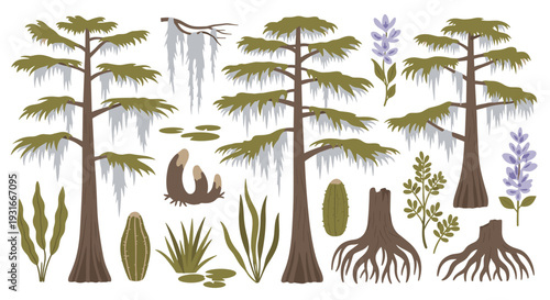 Diverse swamp plants and trees including cypress trees with spanish moss and various wetland vegetation