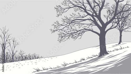 Winter Landscape with Bare Trees and SnowCovered Hillside.