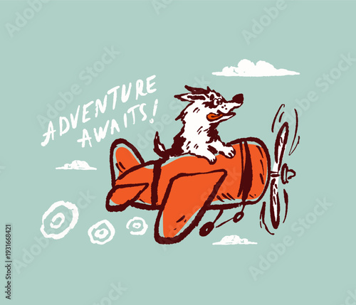 Dog flying in airplanes